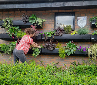 Ways to create environmentally friendly floral displays