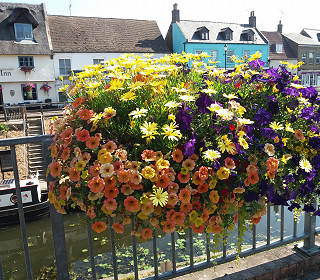 Britain in Bloom 2021 style