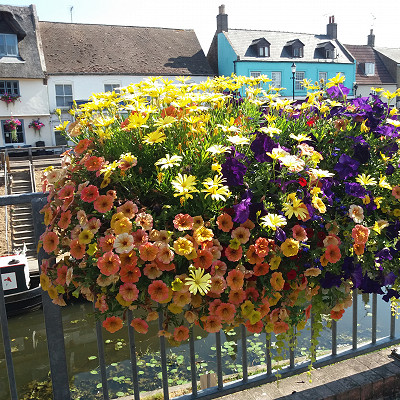 Self watering planters