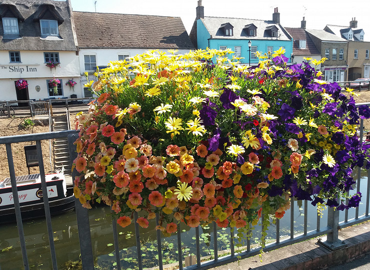 Britain in Bloom 2021 style