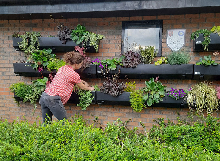 Congratulations to the Britain in Bloom 2023 Finalists