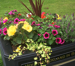 West Auckland win Spring 2021 photo competition