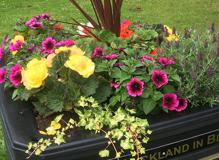 West Auckland win Spring 2021 photo competition