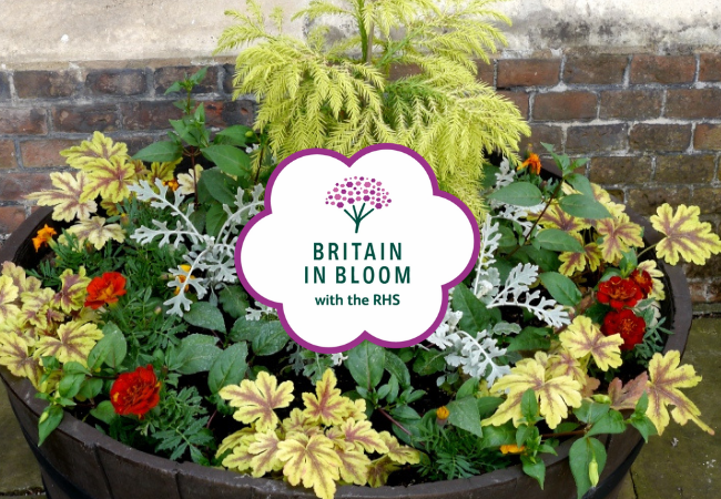 Good luck to the Britain in Bloom 2026 finalists!