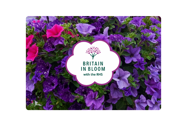 Congratulations to the RHS Britain in Bloom 2026 winners!