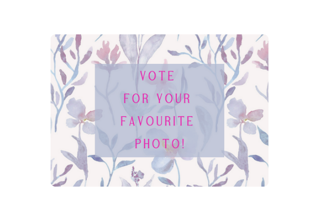 Get voting for your favourite photo from our spring/summer 2024 photo competition!