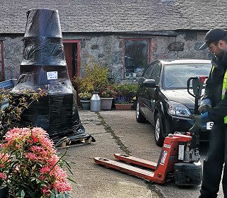 Cove in Bloom undaunted by Covid challenges