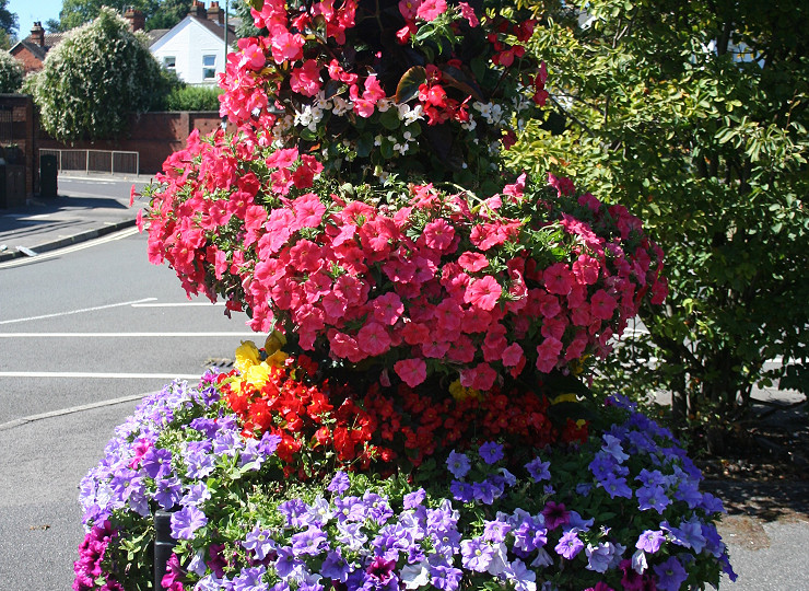 Spotlight on Amberol customers in the national Britain in Bloom finals – Large towns and small cities