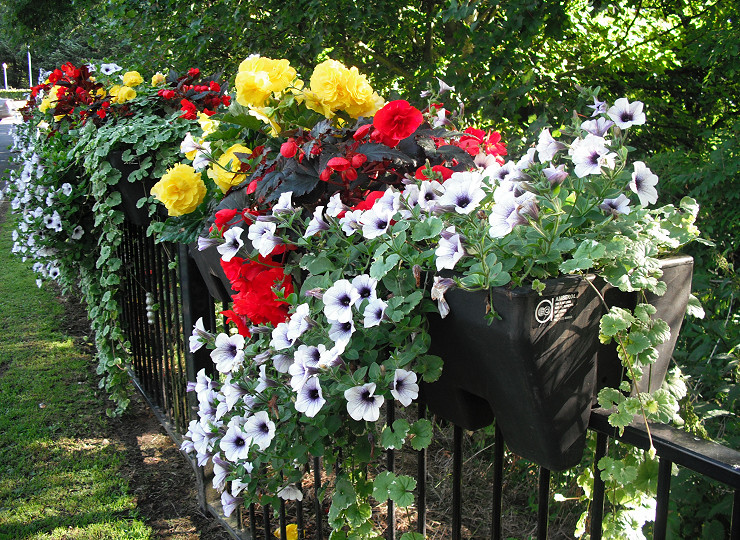 Would you like to be an Amberol case study?