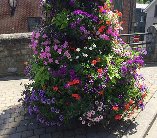 Six reasons to choose an Amberol self-watering tiered planter