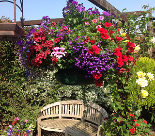 Deadline approaches for container gardening entries at 2023 Chelsea Flower Show