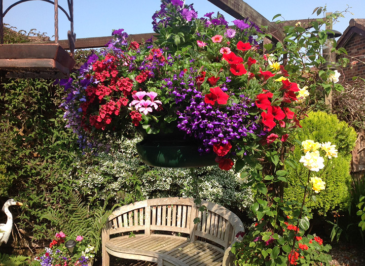 Deadline approaches for container gardening entries at 2023 Chelsea Flower Show