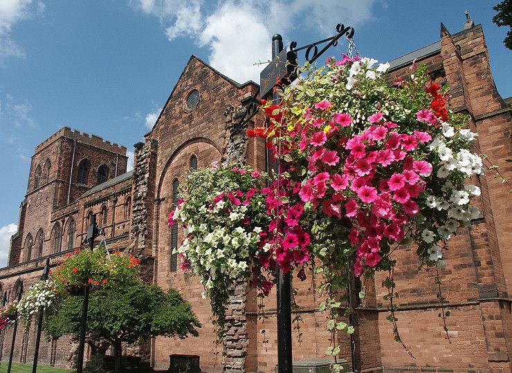 Have you tried Amberol’s self-watering hanging baskets?