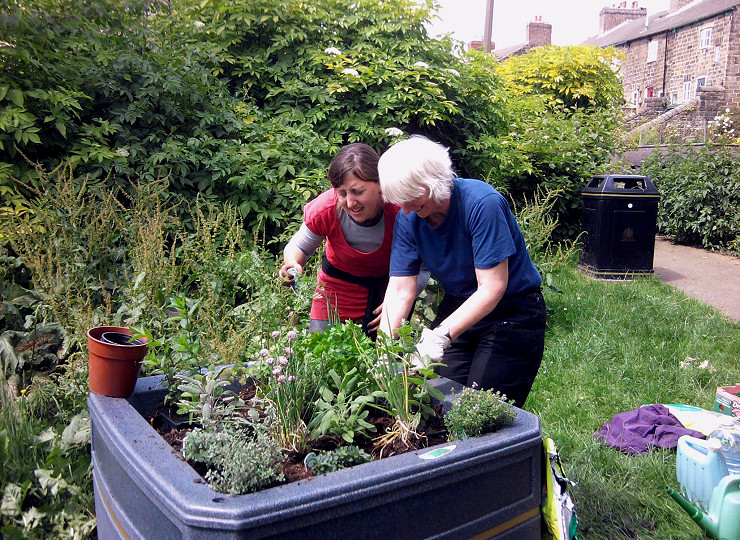 RHS announce 2020 theme for Britain In Bloom