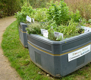 7 tips for creating a community garden