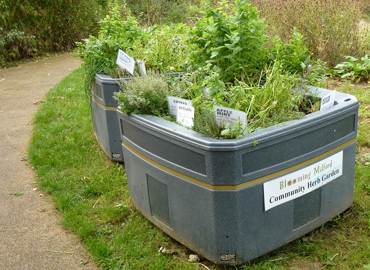 7 tips for creating a community garden
