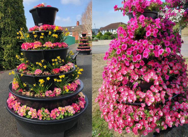 Celebrate the approach of spring in Amberol’s photo competition