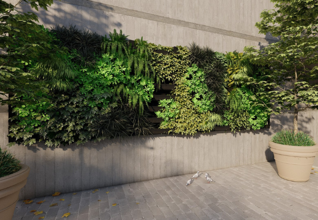Introducing Amberol’s new living wall – the Amberwall