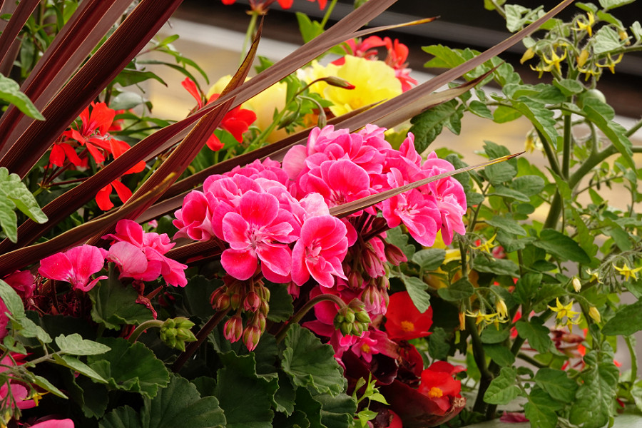 Attenborough station 150