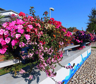 Spring/summer photo competition 2023 opens for entries on 1st May 2023