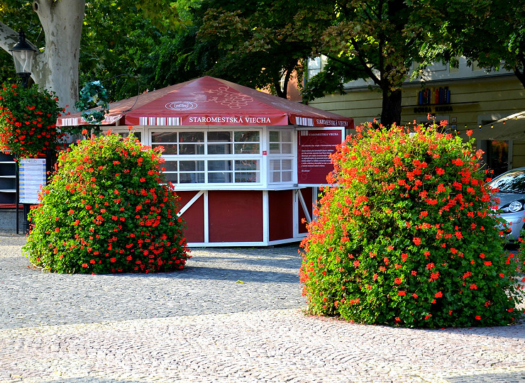 Amberol abroad - creating stunning floral townscapes with our Slovakian partners