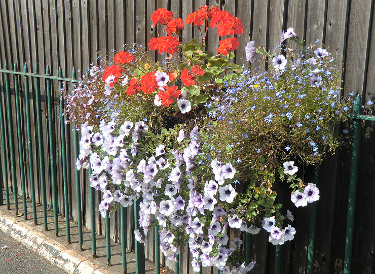 Amberol products an important part of the work by the Friends of Beeston Station