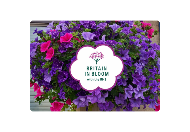 Britain in Bloom 2025 UK Finalists announced