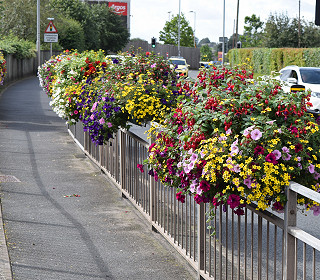 Biddulph in Bloom – the secret of success