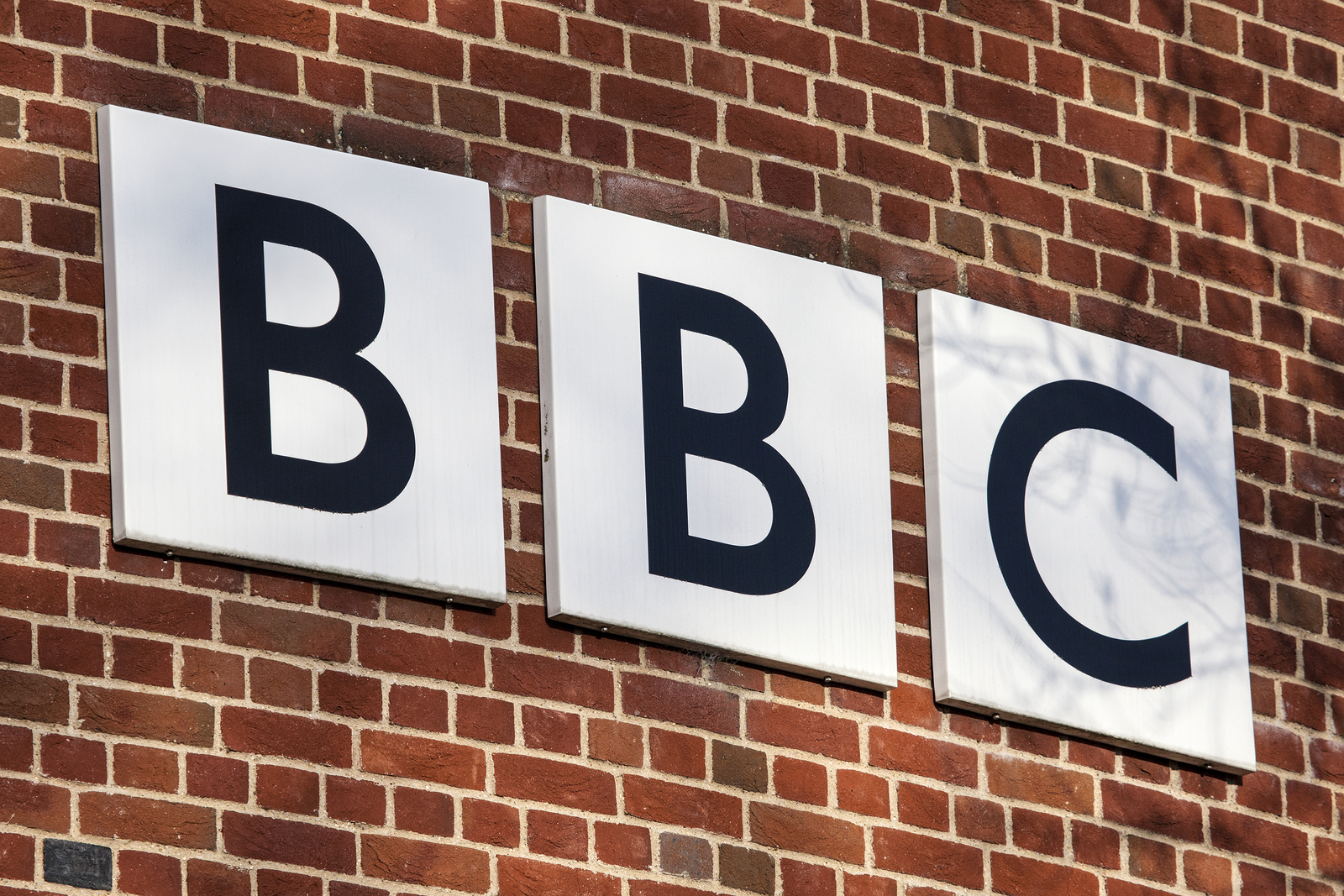 Britain in Bloom gets its own BBC TV series