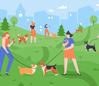 The impact of Covid-19 on our public parks