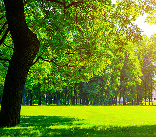 Love your local park – and keep it litter free
