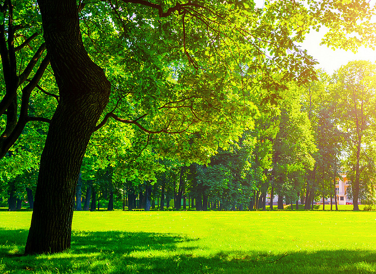 Love your local park – and keep it litter free