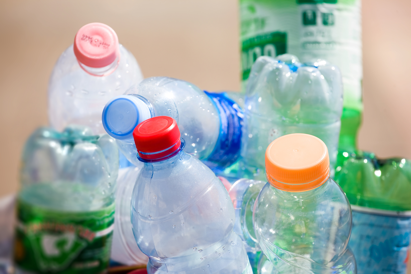Everything you need to know about recycling