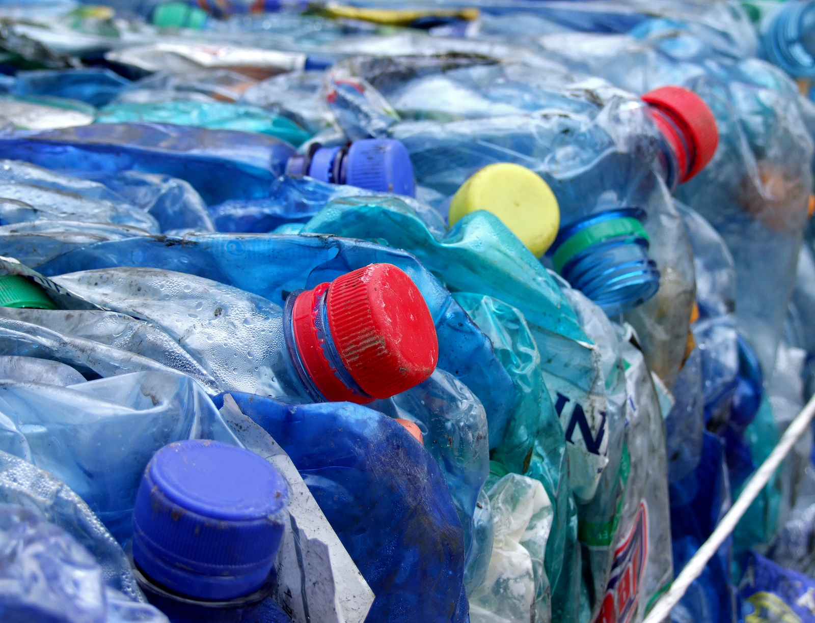 Solving the plastic bottle crisis
