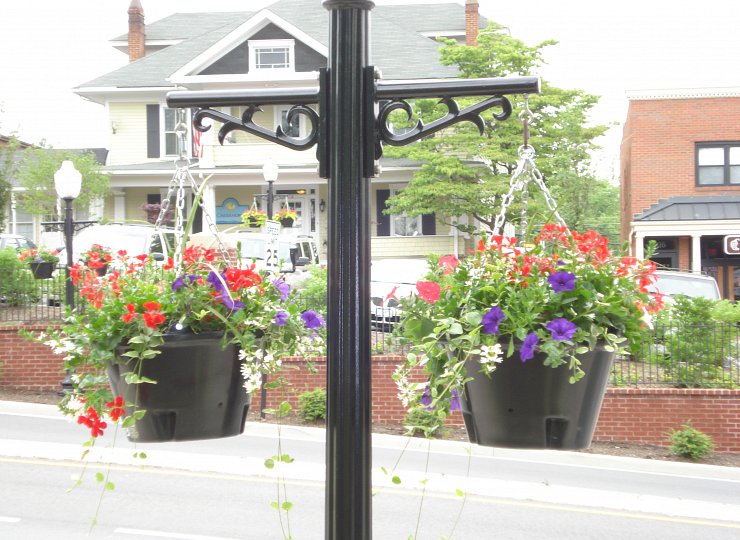 Maintaining hanging baskets