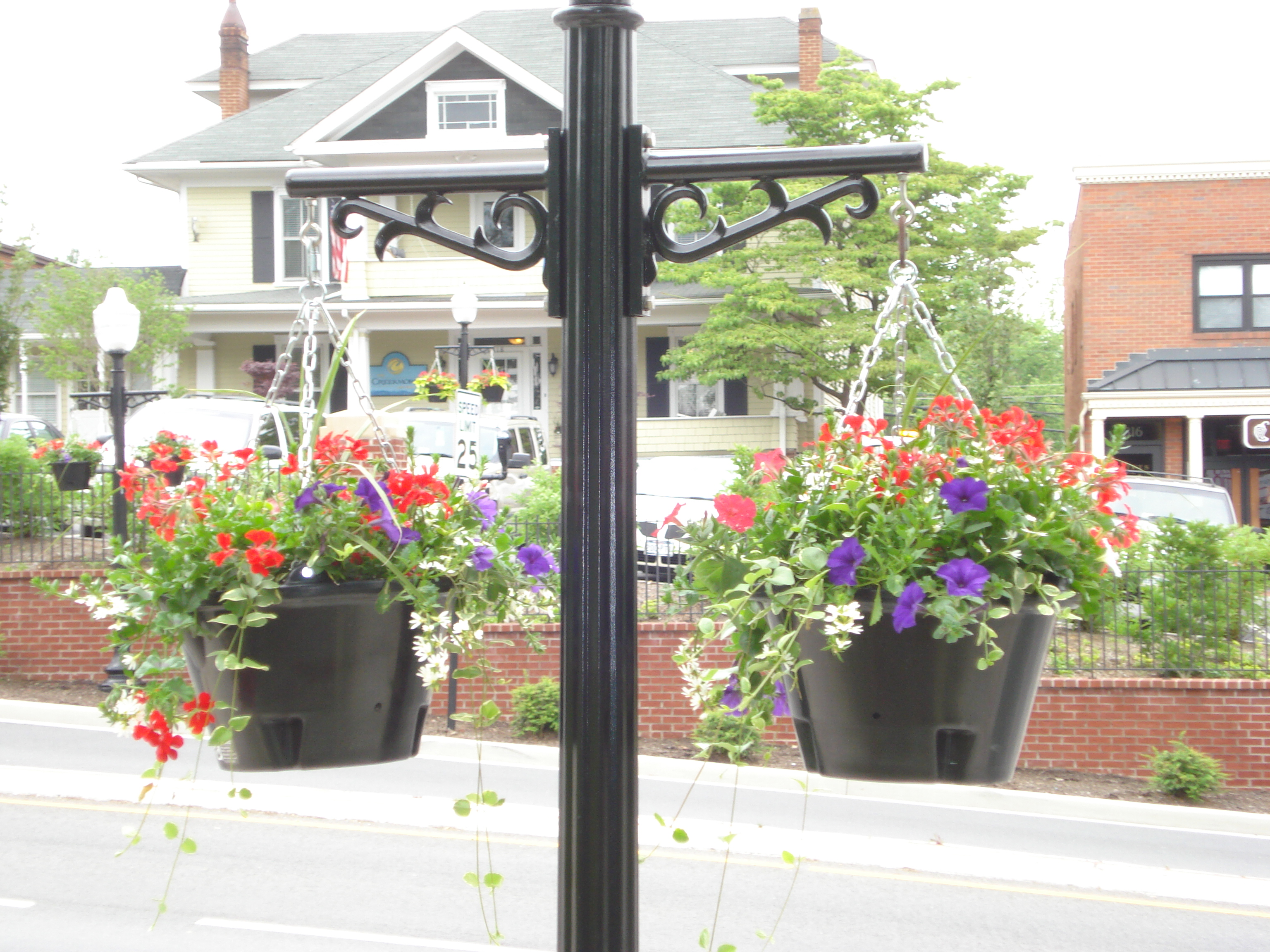 Maintaining hanging baskets