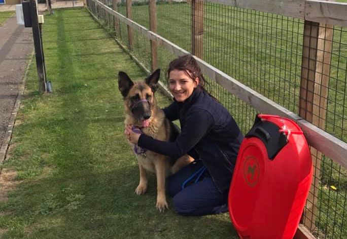 A new dog waste bin for a busy animal centre