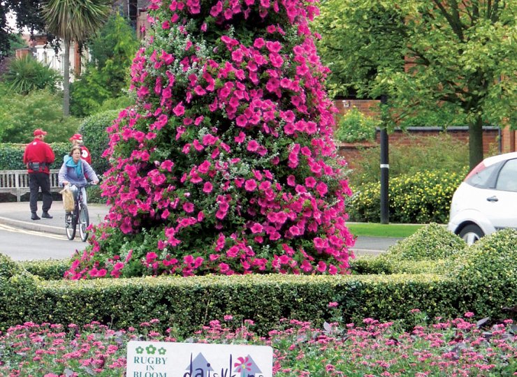 Britain in Bloom means business
