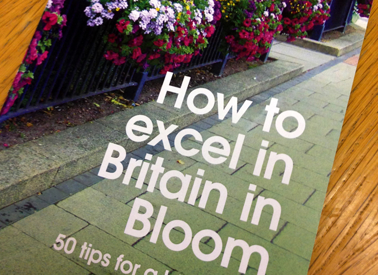 Britain in Bloom - preparing for 2016