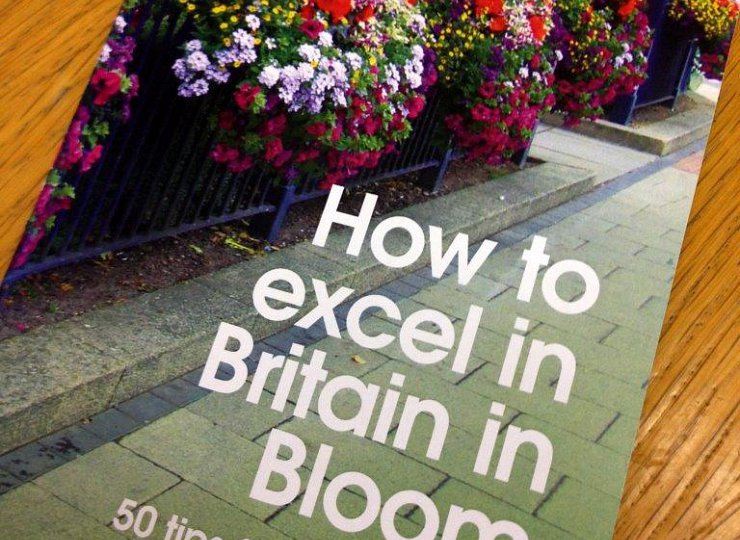 Get your free Amberol guide to container gardening