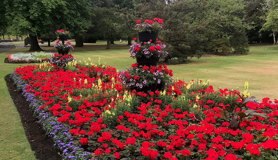 Cannon park   tiered