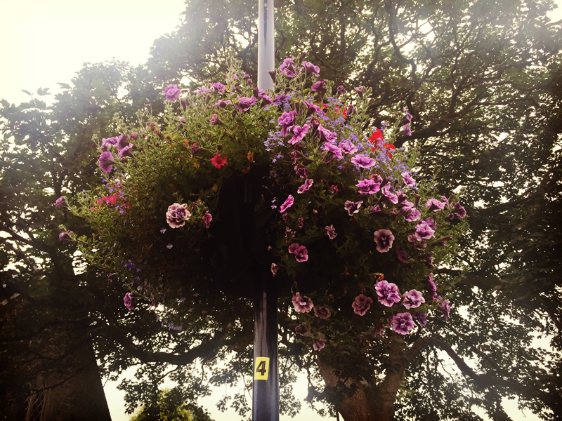 Castleconnell recommends Amberol for quality and sustainability