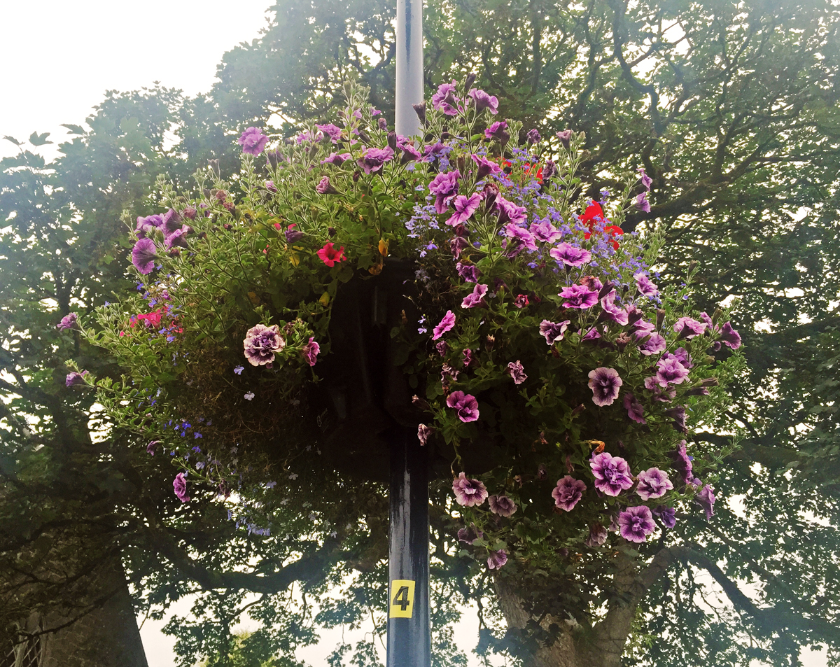 Getting to know Ireland’s TidyTowns competition