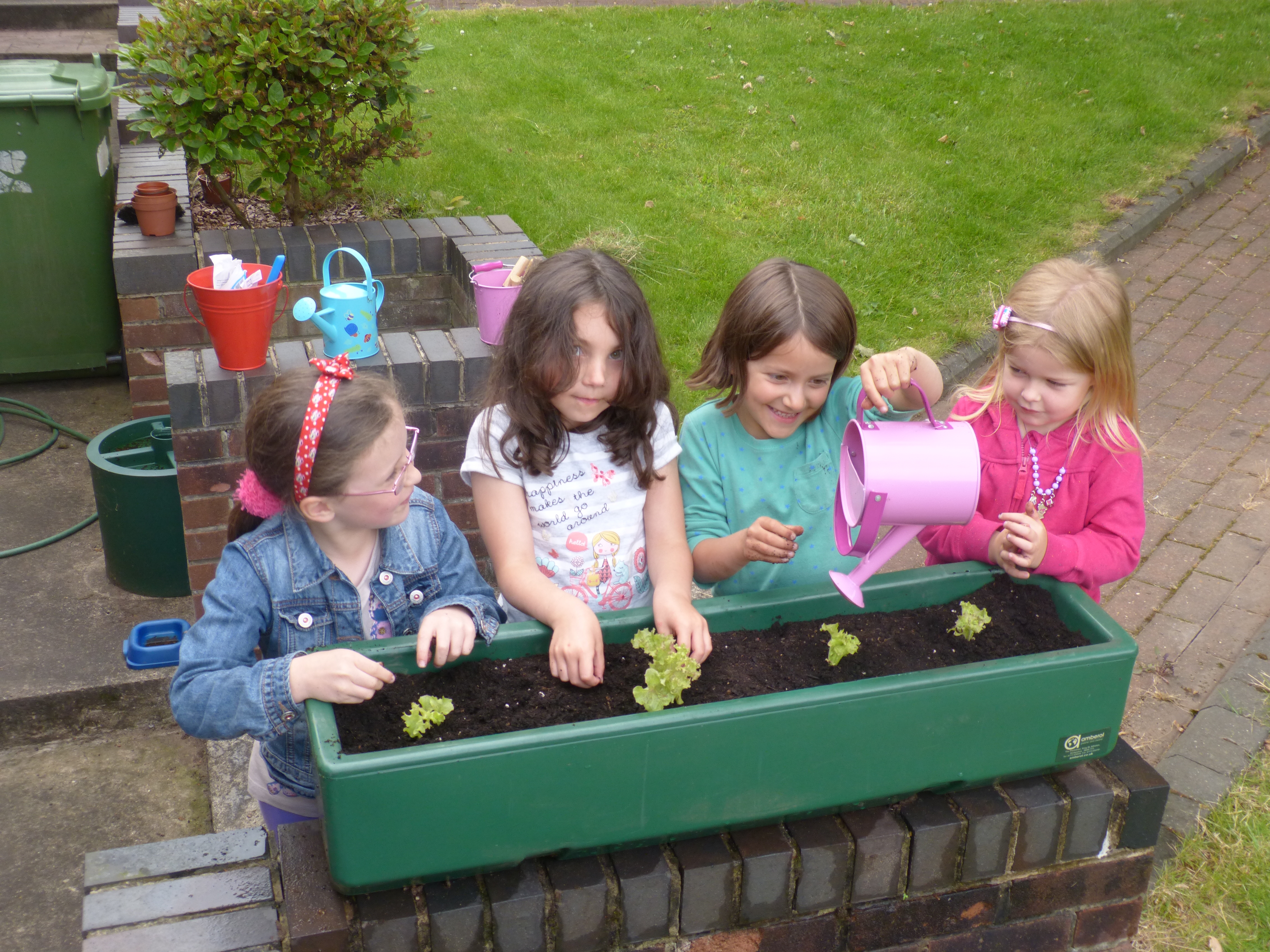 School gardeners rewarded by RHS