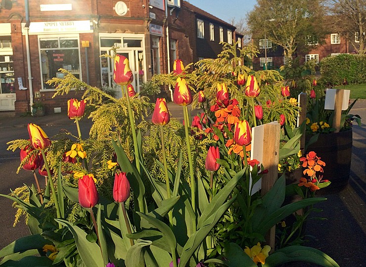 Amberol’s self-watering planters look good for years say Draycott in Bloom