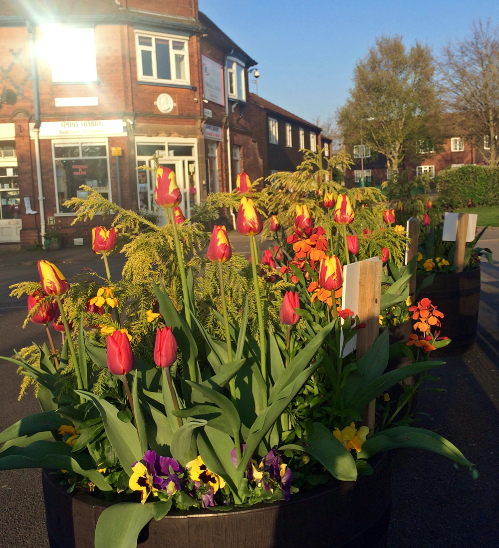 Amberol’s self-watering planters look good for years say Draycott in Bloom