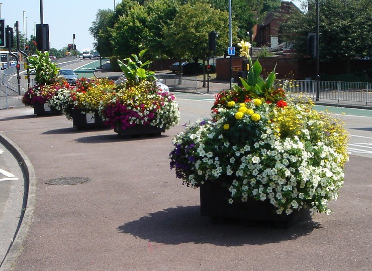 Britain in Bloom 2016 – Greening Grey Britain