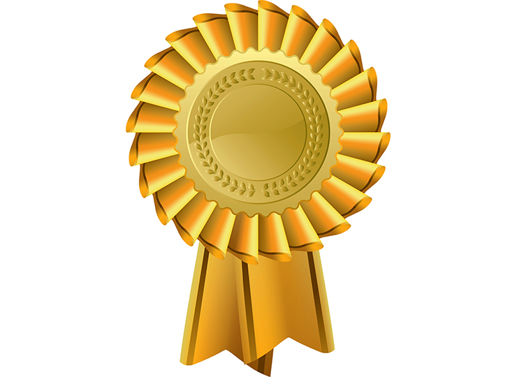 Celebrating all Britain in Bloomers at national awards