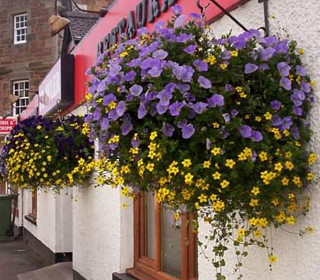 Reliving the glories of summer: the winner of Amberol’s summer 2021 photo competition is announced