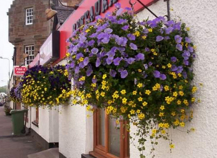 Reliving the glories of summer: the winner of Amberol’s summer 2021 photo competition is announced